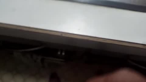 alostmale online show from 12-08-24, 10:52