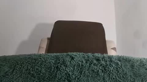 Snapshot of alotofcream chatting on 10-11-25, 05:17 alotofcream4u online show from 10-11-25, 05:17