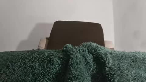 Snapshot of alotofcream chatting on 10-14-25, 05:30 alotofcream4u online show from 10-14-25, 05:30