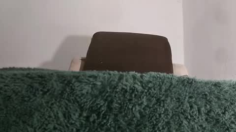 Snapshot of alotofcream chatting on 11-21-25, 05:28 alotofcream4u online show from 11-21-25, 05:28