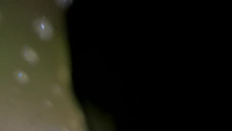 alotta_titties online show from 02-05-26, 08:41