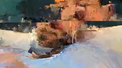 Snapshot of alpachino7777 chatting on 02-19-25, 05:27 alpachino7777 online show from 02-19-25, 05:27