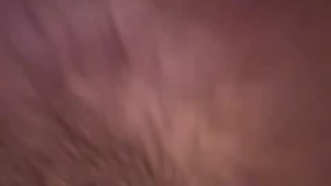 Snapshot of alphazack14 chatting on 02-19-25, 03:49 alphazack14 online show from 02-19-25, 03:49