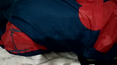 amadeusz online show from 12-22-24, 01:34