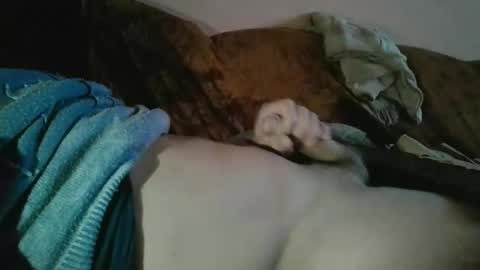 amazingcuteboy845 online show from 10-18-25, 09:15