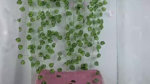 Snapshot of amber__muse chatting on 04-24-26, 01:24 Amber online show from 04-24-26, 01:24