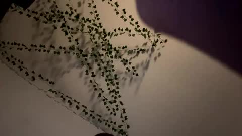 AmberIsPurple online show from 12-08-24, 04:04