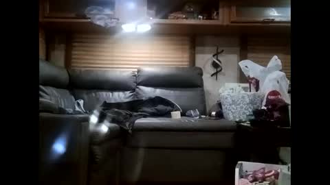 Snapshot of ambionce chatting on 10-21-25, 07:31 ambionce online show from 10-21-25, 07:31