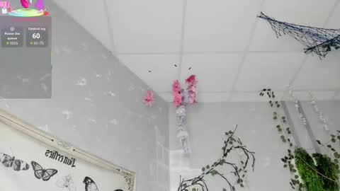 Ameli online show from 02-14-26, 03:03