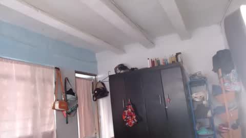 amelia  online show from 12-08-24, 01:03