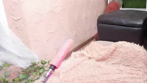 Snapshot of amelialu1 chatting on 05-21-26, 07:37 amelialu1 online show from 05-21-26, 07:37