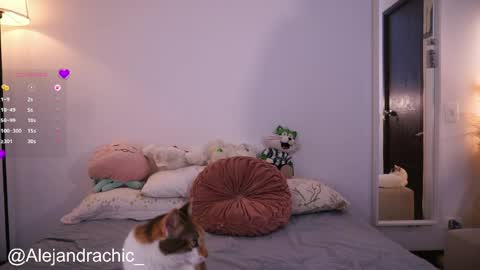 Snapshot of amelie_leigh chatting on 05-22-26, 01:02 Alejandra online show from 05-22-26, 01:02