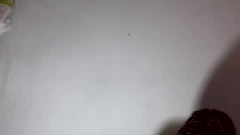 amelisy20005 online show from 02-22-26, 06:46