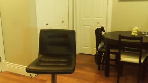 Snapshot of amera_gray chatting on 01-12-25, 06:16 HOT white naughty leo xxx online show from 01-12-25, 06:16