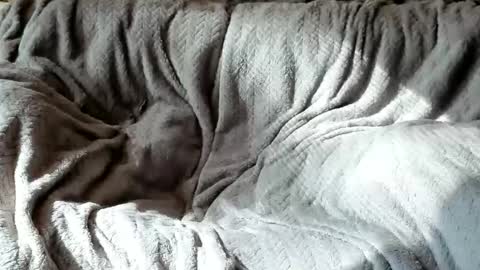 Snapshot of american_horny chatting on 10-24-25, 05:42 Olive Walter online show from 10-24-25, 05:42