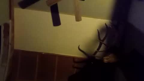 ammoman22 online show from 03-09-25, 05:55