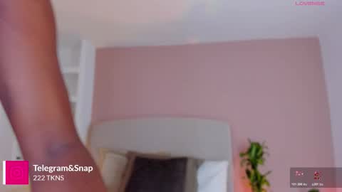 AMMY online show from 03-20-26, 07:41