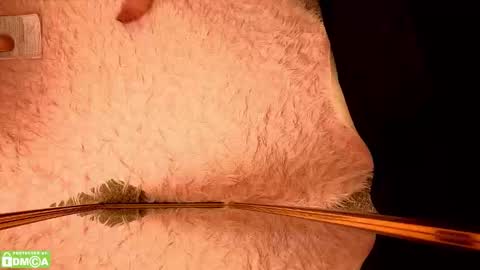 Amora Moore online show from 01-17-26, 01:21