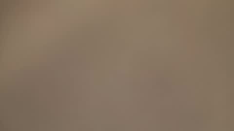 AmorLin online show from 03-30-26, 12:11