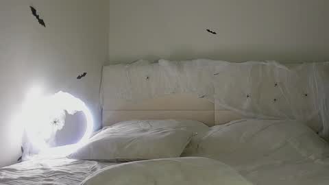 amy1_1 online show from 10-31-25, 01:39