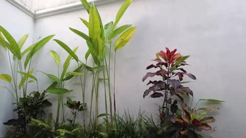 Snapshot of amyalwayshere chatting on 03-02-25, 10:35 girl next door named Amy online show from 03-02-25, 10:35