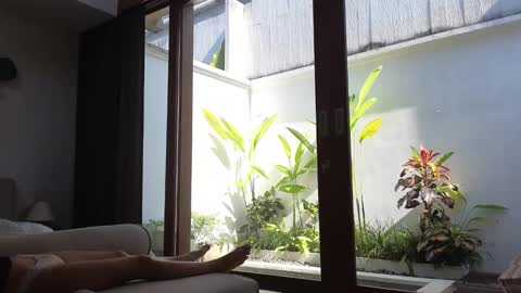 Snapshot of amyalwayshere chatting on 03-03-25, 07:54 girl next door named Amy online show from 03-03-25, 07:54