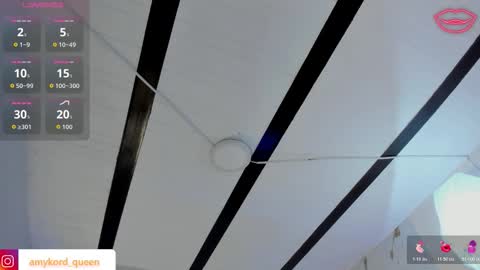 Amykord online show from 11-14-25, 11:31