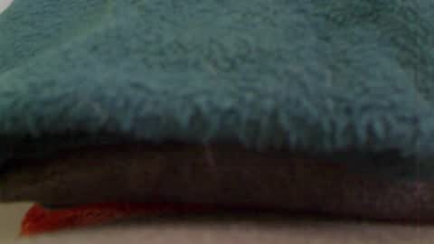 anaiserebel online show from 01-04-25, 07:34