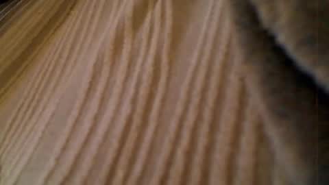 anaiserebel online show from 01-15-26, 07:02