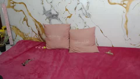 analiz_ online show from 02-05-26, 01:32