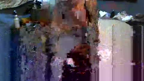 Snapshot of analwhore666 chatting on 02-16-25, 06:10 kinkylilanalslut online show from 02-16-25, 06:10