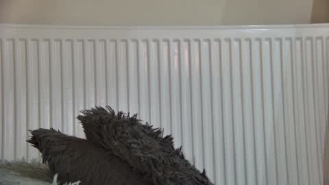 of  just4ana online show from 01-05-26, 05:27