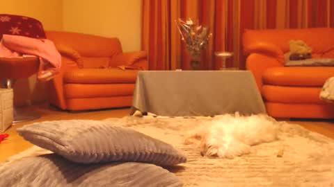 Andra online show from 12-13-25, 07:53