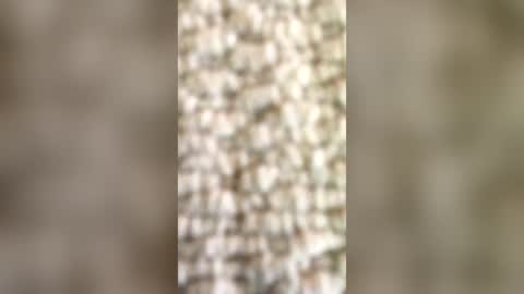 andrew1855 online show from 06-14-26, 11:34