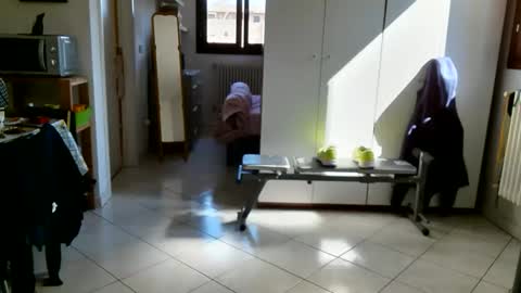 androx77 online show from 03-31-26, 09:21