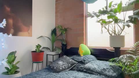 Snapshot of andy_belier chatting on 02-05-26, 01:05 Andy online show from 02-05-26, 01:05