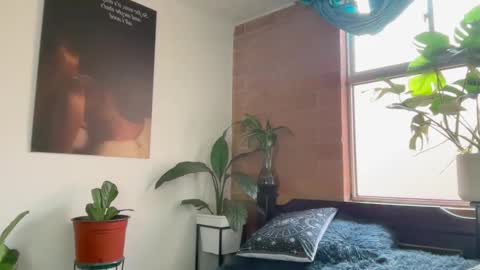 Snapshot of andy_belier chatting on 02-24-26, 01:09 Andy online show from 02-24-26, 01:09