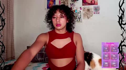   online show from 01-21-25, 02:43