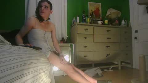 Ani online show from 05-22-26, 09:59