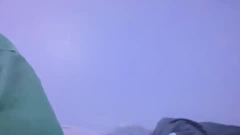 Animeboygirls online show from 02-02-26, 05:39