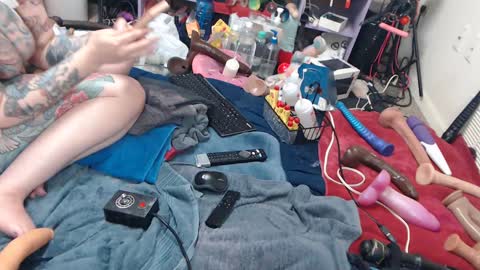 Twitter at animegamergrl. No vids for sale on Chaturbate. online show from 06-08-26, 02:01