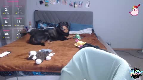 Anadirectgirl online show from 02-25-25, 07:03