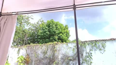 Anna online show from 12-07-24, 04:25