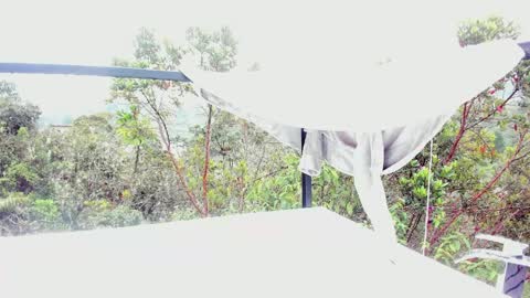  Anna Weells  online show from 03-30-26, 02:29