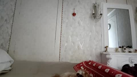 Anna online show from 12-04-25, 06:23