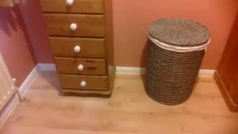 Snapshot of annecharlie chatting on 11-16-25, 08:42 annecharlie online show from 11-16-25, 08:42