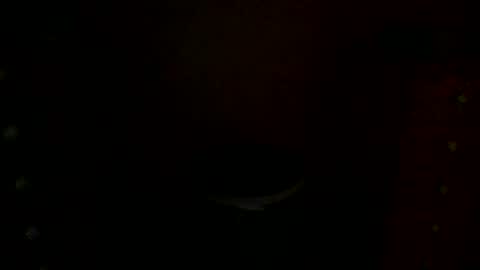 Snapshot of annecharlie chatting on 11-30-25, 07:56 annecharlie online show from 11-30-25, 07:56