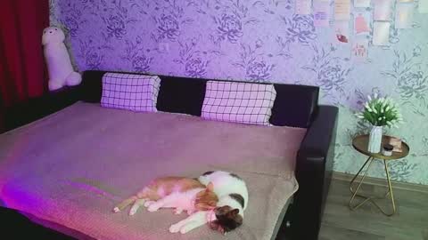 Annie online show from 12-16-24, 04:23