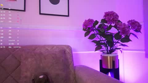 Ana online show from 02-04-26, 11:38