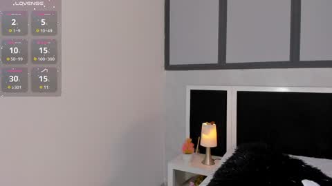 Snapshot of antonellaa_gomez chatting on 01-13-25, 01:17 Antonellaa online show from 01-13-25, 01:17